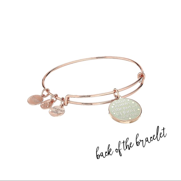 *FIRM* ALEX AND ANI HARRY POTTER LIGHT & DARK INSIDE OF US BANGLE - NEW/NO TAGS - Picture 3 of 6